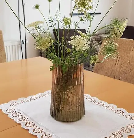 Mountain Peaks With Sauna *