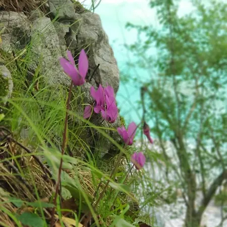 Mountain Peaks With Sauna Gozd Martuljek