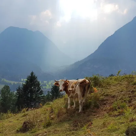 Mountain Peaks With Sauna * Gozd Martuljek