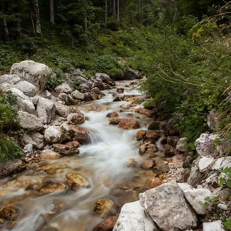 Mountain Peaks With Sauna Gozd Martuljek