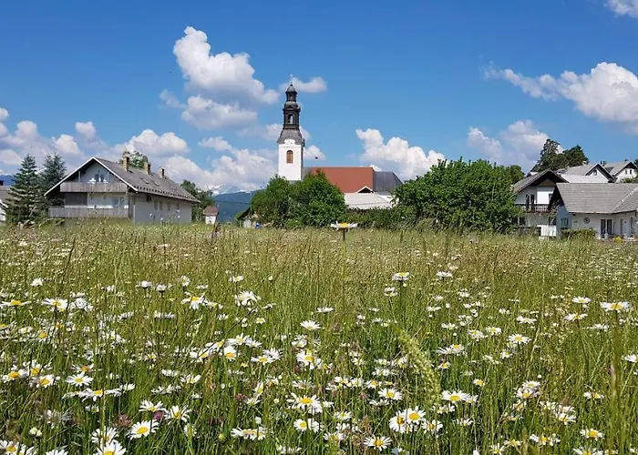 Mountain Peaks With Sauna Apartment *