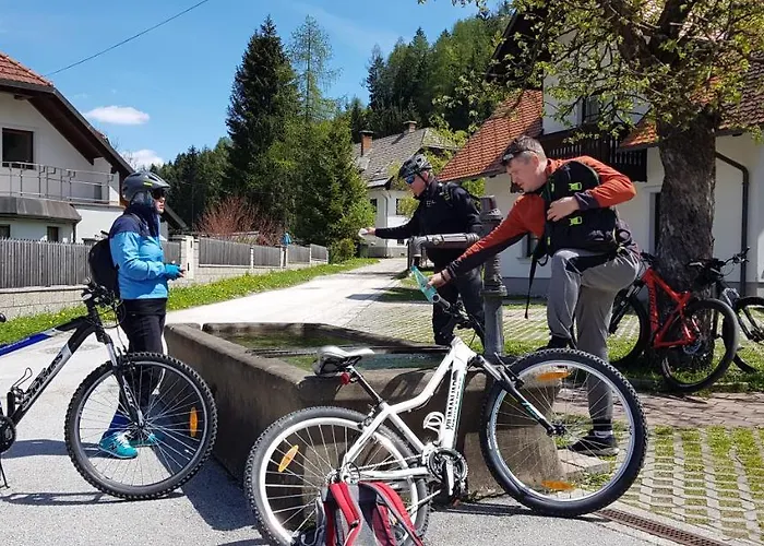 Mountain Peaks With Sauna * Gozd Martuljek