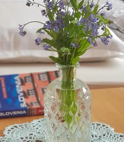 Apartment Mountain Peaks With Sauna