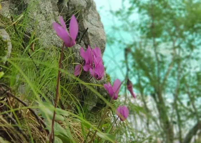 Mountain Peaks With Sauna Gozd Martuljek