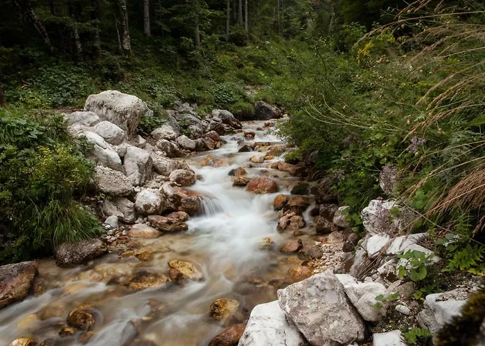 Mountain Peaks With Sauna גוזד מרטולז'ק